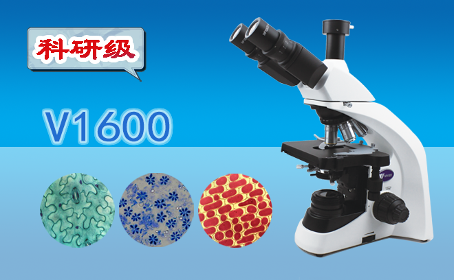 顯微鏡的工作原理以及高倍顯微鏡的使用方法是什么呢？