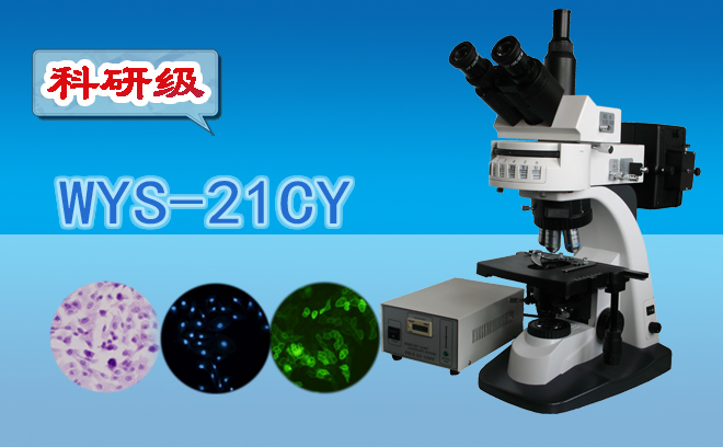 熒光顯微鏡技術(shù)包括哪幾種？